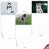 The Best Card Company - 10 Adorable Blank Dog Cards, Assorted Pet Breeds, Boxed Set - Alaskan Huskies AM6827OCB-B1x10