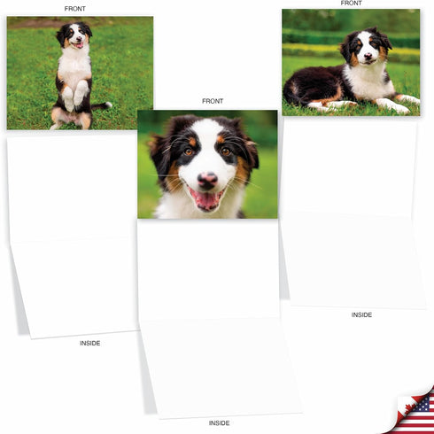 The Best Card Company - 10 Adorable Blank Dog Cards, Assorted Pet Breeds, Boxed Set, 4 x 5.12 Inch, Awesome Australian