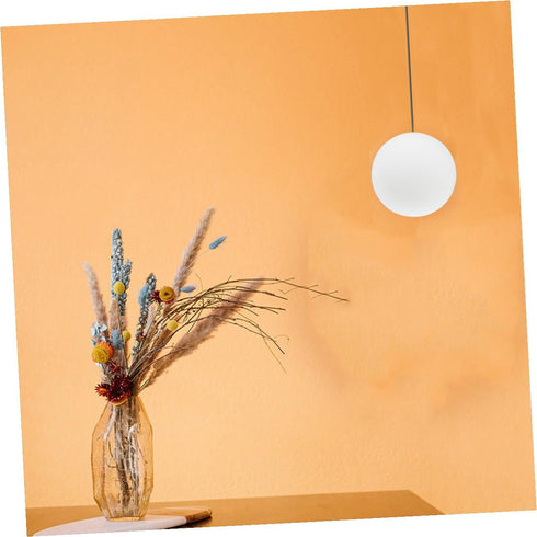 Ipetboom 80mm Bulb White Frosted round Glass Globe Lamp Shade Replacement for Wall Sconce and Ceiling Fan Light Covers
