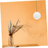 Ipetboom 80mm Bulb White Frosted round Glass Globe Lamp Shade Replacement for Wall Sconce and Ceiling Fan Light Covers
