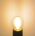 2W LED Mini Globe Bulb, Dimmable E26 Medium Base, 2700K Warm White Light, 25W Incandescent Replacement, 2 Pack