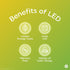 GE Lighting Vintage Style LED Light Bulbs, 60 Watt Equivalent, Amber Glass, Warm Candle Light, A15, 2 Pack