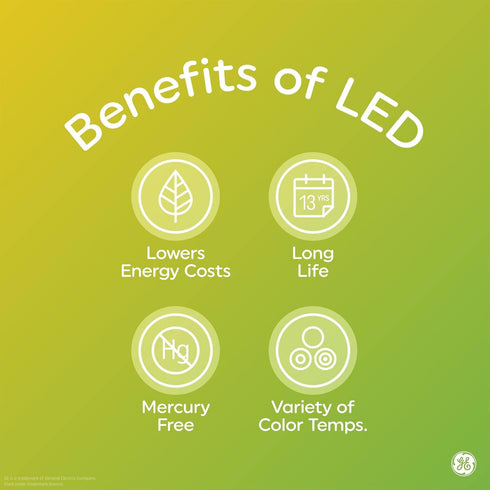 GE Lighting Vintage Style LED Light Bulbs 2 Pack, 6 Watts (60 Watt Equivalent), Warm Candle Light, Amber Glass