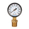 Measureman 2" Well Pump Pressure Gauge, 0-100psi/bar, 1/4" NPT Male with 1/2" NPT Adaptor