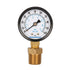 Measureman 2" Well Pump Pressure Gauge, 0-100psi/bar, 1/4" NPT Male with 1/2" NPT Adaptor