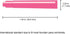 Monteverde International Size Cartridge, Pink - 6 per Pack, Fits Fountain Pens (G302PK)