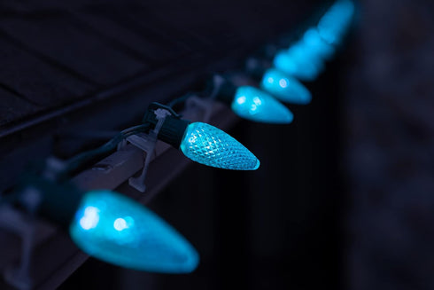 Set of 25 Teal C9 Christmas Lights, Faceted C9 LED Bulbs for Indoor & Outdoor Use, Durable Replacement C9 Lights