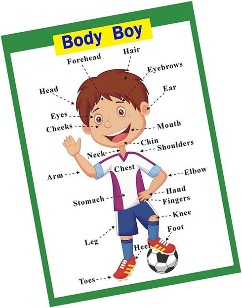 SANTSUN Educational Preschool Posters, Educational Wall Charts, Classroom Organization for Kindergarten, 42x60cm