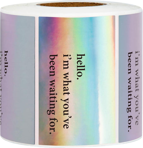 WRAPAHOLIC Hello I'm What You've Been Waiting for Stickers, Black Ink Holographic Silver Labels