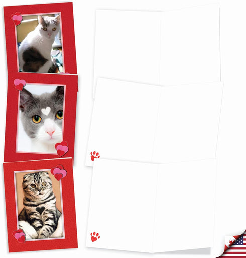 The Best Card Company - 10 All Occasion Blank Cat Cards (4 x 5.12 Inch) - Cute Assorted Bulk Set, Heartfelt Cats