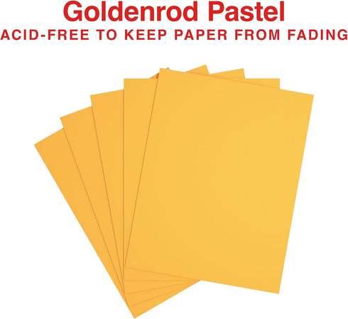 8 1/2-Inch 11-Inch Staples Pastel Colored Copy Paper x Goldenrod Ream, For Office, School & Home