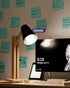Sunco 12 Pack LED Light Bulbs A19 E26 Base, 5000K Daylight, 8W (60 Watt Equivalent), 850 LM, Non-Dimmable