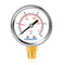 Lead-Free Water Pressure Gauge Liquid Filled 0-15Psi, 2" Dial, Stainless Steel Case, 1/4" NPT Lower Mount