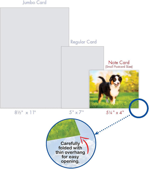 The Best Card Company - 10 Adorable Blank Dog Cards, Assorted Pet Breeds, Boxed Set, 4 x 5.12 Inch, Awesome Australian