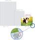 The Best Card Company - 10 Adorable Blank Dog Cards, Assorted Pet Breeds, Boxed Set, 4 x 5.12 Inch, Awesome Australian