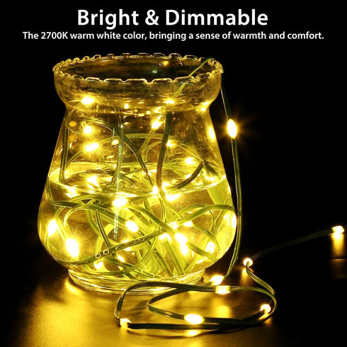 33ft 100 Battery Operated String Lights, LED Fairy String Lights Battery Powered w/Remote & Timer for Indoor Outdoor