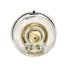 PIC Gauges 202L-204E Center Back Mount Glycerine Filled Pressure Gauge, 2" Dial, 0/100 psi Range