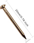 Hardware Nail Assortment Kit (300pcs), Brass Plated Nails for Hanging Pictures (20MM)