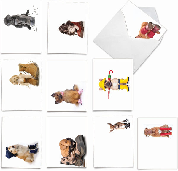 The Best Card Company 10 Assorted Dog Thank You Notes Box Set, 4 x 5.12 Inch with Envelopes (10 Designs, 1 Each)