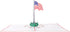 iGifts And Cards American Pride 3D Pop-Up Card - USA Flag for Veterans, Military, and Patriotic Holidays