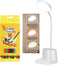 LED Desk Lamp for Home Office, 360 Rotating Gooseneck Small Table Lamp