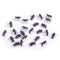 25Pcs AC 1A 125V 3Pin SPDT Limit Micro Switch, Long Hinge Lever for Arduino (Pack of 25) CYT1073
