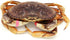 AirFly 1 0.5, Crab, Lobster Claw Rubber Bands, Protect Lobsters & Crabs, Cook Safe FDA-Compliant Silicone, Size x Made