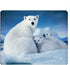 Cute Polar Bear Gaming Mousepad, Polar Bear Family Blue Sky Mouse Pad for Computer Desk, Laptop Office, 9.5 X 7.9 Inch