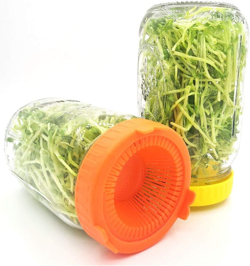 4Pcs GLOGLOW Nan Sprouting Lids, Plastic, Easy Drainage, Fits Jars, Ideal for Growing Broccoli Alfalfa Mung Lentil