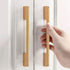 ACLDOYYV Closet 1Pcs 96mm) Modern Minimalist Drawer Bookcase Wine Cabinet Cupboard Door Pull Bedside Table Handle