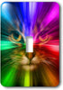 3dRose lsp_18499_1 Domestic Cat Surrounded by a Rainbow of Colors Toggle Switch