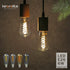 6 Pack ST19 LED Edison Bulbs, 6W (60W Equivalent), Soft White 2700K, Dimmable Vintage Filament Clear Glass