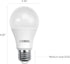 Cobol A19 Bulb/ 60W 9W/ 810 2700K 90+ E26 120V/ Non-dimmable/ 15,000 6-Pack LED Light Equivalent/ Lumens/ Soft White/