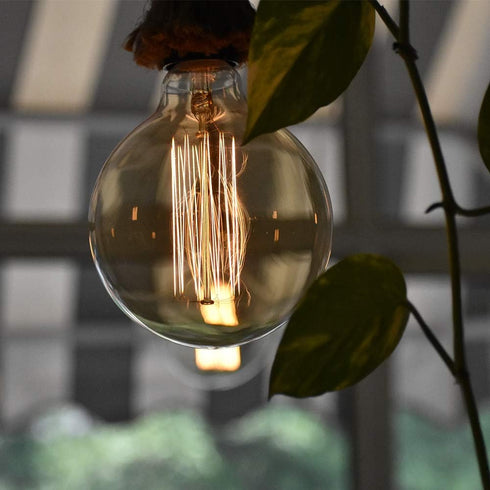 New Lights G25 Bulb, 60W Bulb, Bulb, Dimmable Bulbs, 2100K White,E26, 6 Pack Globe Edison Light Vintage Round Edison