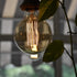 New Lights G25 Bulb, 60W Bulb, Bulb, Dimmable Bulbs, 2100K White,E26, 6 Pack Globe Edison Light Vintage Round Edison