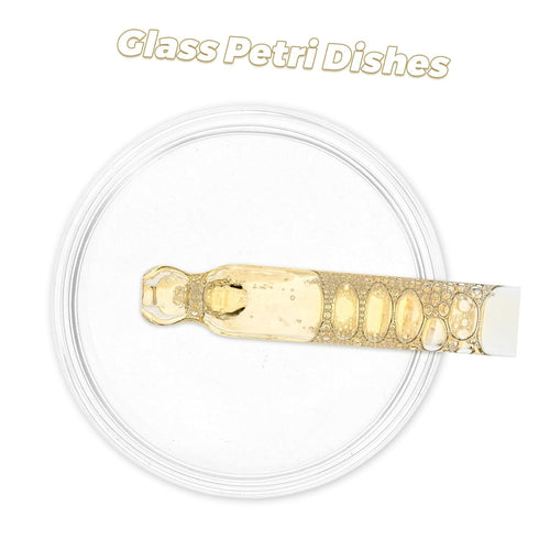10pcs Glass Culture Dishes for Laboratory Experiments High Transparency Petri Dishes for Microscopic Observations