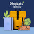 Dingbats - Earth Dotted A5 Medium Notebook, Sky Blue Great Barrier Reef, Hardcover, Cream 100gsm Ink-Proof Paper