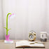 Desk Lamp for Kids, Sunflower LED Charging Table Lamp, Adjustable Brightness, Small Folding Light for Reading, Study