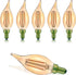 E12 LED Light Bulbs, Retro Candelabra, Dimmable 25 Watt Incandescent Equivalent, 2200K Amber, 6 Pack