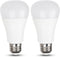 LED Light Bulbs Daylight 15W, 1600Lm 100W Equivalent, E26 Edison Screw Base, Super Bright 5000K (2 Pack)