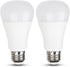 LED Light Bulbs Daylight 15W, 1600Lm 100W Equivalent, E26 Edison Screw Base, Super Bright 5000K (2 Pack)