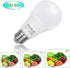 Honle E26 E27 LED Light Bulbs 12V 24V 7W A19 Daylight White 6000K Standard Edison Base 60W Equivalent, 2 Pack