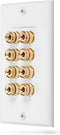 Fosmon (Quad Speaker Home Theater Wall Plate - Premium Quality Gold Plated