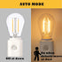 Bulb 1W 2700K, 10-100LM Dimmable, 1 Pack Led Night Light Plug in, Vintage Nightlight, Dusk to Dawn and Motion Sensor