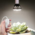E26/E27 8.2Ft Bulb 4 Pack Hanging Light Socket with Cord - Extension Hanging Lantern Cord Cable - Lamp Cord with Switch