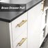 goldenwarm 2Pcs Brushed Brass Cabinet Pull Knob: 6-1/4in Hole Center, 8-4/5in Overall Length for Kitchen Furniture