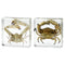 Aolowewin Taxidermy Crabs, Real Oceans Animals Specimen in Resin Preserved, Clear for Closer-Look