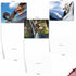 The Best Card Company 10 Assorted Thank You Notes Boxed Set - 4 x 5.12 Inch with Envelopes, Doggie in the Window
