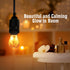 Bulb, 60-Watt Bulb 4 Count Himalayan Glow LED Light Patent Design Equivalent, Warm Amber Glow, Salt Light