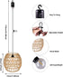 Bulb 4*AA Battery Operated Outdoor Chandelier for Gazebo Pendant Light with Remote Control LED Farmhouse Hanging Boho